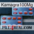 Kamagra100Mg 05